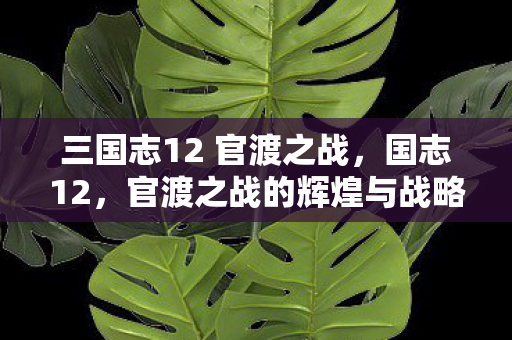 三国志12 官渡之战，国志12，官渡之战的辉煌与战略智慧