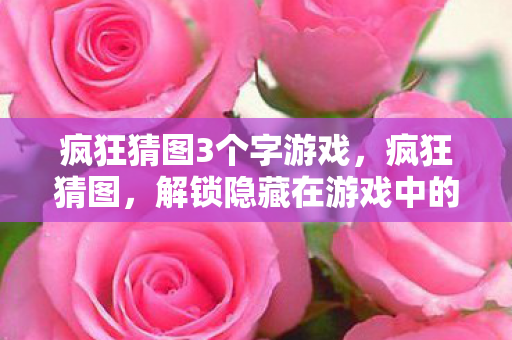 疯狂猜图3个字游戏，疯狂猜图，解锁隐藏在游戏中的神秘符号