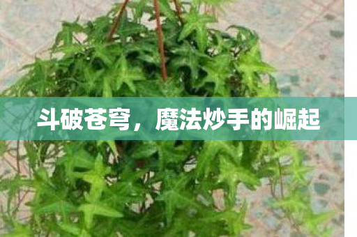 斗破苍穹，魔法炒手的崛起