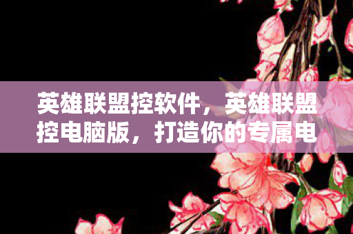 英雄联盟控软件，英雄联盟控电脑版，打造你的专属电竞神器