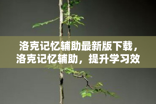洛克记忆辅助最新版下载,洛克记忆辅助,提升学习效率的神奇工具 洛克记忆辅助最新版下载,洛克记忆辅助,提升学习效率的神奇工具