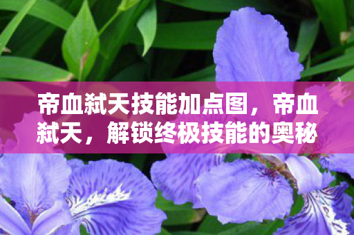 帝血弑天技能加点图,帝血弑天,解锁终极技能的奥秘 帝血弑天技能加点图,帝血弑天,解锁终极技能的奥秘