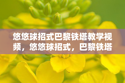 悠悠球招式巴黎铁塔教学视频,悠悠球招式,巴黎铁塔的奥秘 悠悠球招式巴黎铁塔教学视频,悠悠球招式,巴黎铁塔的奥秘