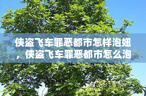 侠盗飞车罪恶都市怎样泡妞，侠盗飞车罪恶都市怎么泡妞