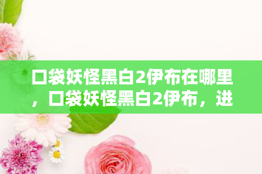 口袋妖怪黑白2伊布在哪里，口袋妖怪黑白2伊布，进化与战斗的艺术