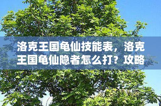 洛克王国龟仙技能表,洛克王国龟仙隐者怎么打?攻略详解 洛克王国龟仙技能表,洛克王国龟仙隐者怎么打?攻略详解