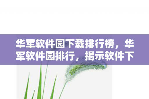 华军软件园下载排行榜,华军软件园排行,揭示软件下载新趋势 华军软件园下载排行榜,华军软件园排行,揭示软件下载新趋势