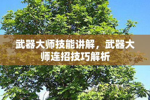 武器大师技能讲解，武器大师连招技巧解析