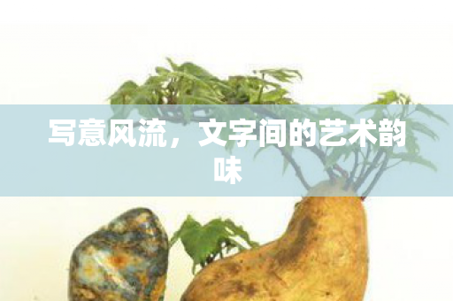 写意风流,文字间的艺术韵味 写意风流,文字间的艺术韵味