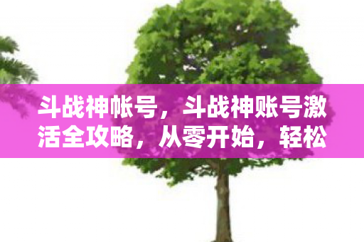 斗战神帐号，斗战神账号激活全攻略，从零开始，轻松上手