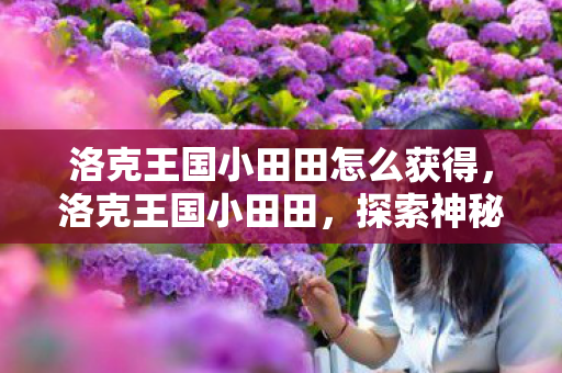洛克王国小田田怎么获得，洛克王国小田田，探索神秘王国的奇妙之旅