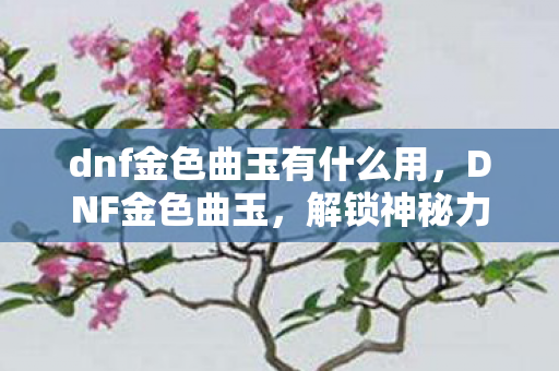 dnf金色曲玉有什么用，DNF金色曲玉，解锁神秘力量的钥匙