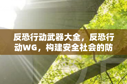 反恐行动武器大全，反恐行动WG，构建安全社会的防线