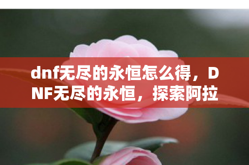 dnf无尽的永恒怎么得，DNF无尽的永恒，探索阿拉德大陆的奇幻之旅