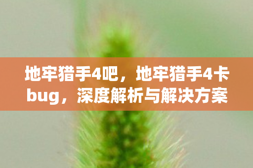 地牢猎手4吧,地牢猎手4卡bug,深度解析与解决方案 地牢猎手4吧,地牢猎手4卡bug,深度解析与解决方案
