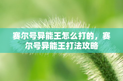 赛尔号异能王怎么打的，赛尔号异能王打法攻略