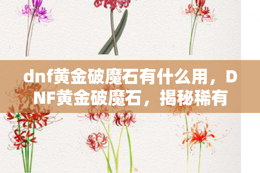 dnf黄金破魔石有什么用，DNF黄金破魔石，揭秘稀有道具的神秘面纱