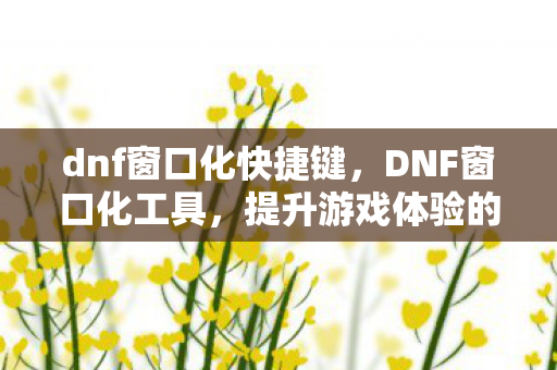 dnf窗口化快捷键，DNF窗口化工具，提升游戏体验的必备神器
