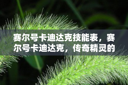 赛尔号卡迪达克技能表，赛尔号卡迪达克，传奇精灵的崛起