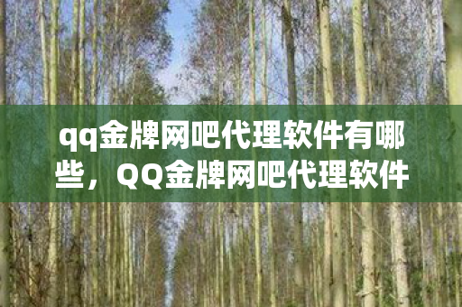 qq金牌网吧代理软件有哪些,QQ金牌网吧代理软件,打造高效网吧管理的利器 qq金牌网吧代理软件有哪些,QQ金牌网吧代理软件,打造高效网吧管理的利器