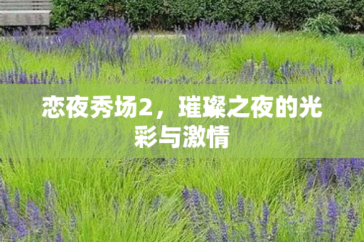 恋夜秀场2，璀璨之夜的光彩与激情
