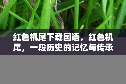 红色机尾下载国语,红色机尾,一段历史的记忆与传承 红色机尾下载国语,红色机尾,一段历史的记忆与传承