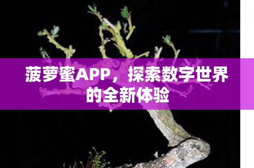 菠萝蜜APP,探索数字世界的全新体验 菠萝蜜APP,探索数字世界的全新体验