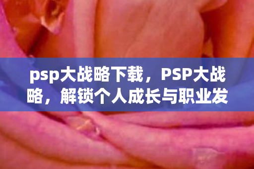 psp大战略下载，PSP大战略，解锁个人成长与职业发展的新路径