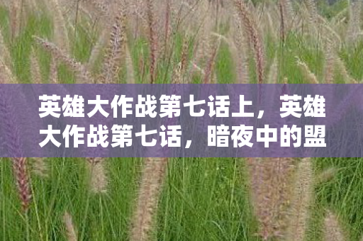 英雄大作战第七话上,英雄大作战第七话,暗夜中的盟约 英雄大作战第七话上,英雄大作战第七话,暗夜中的盟约