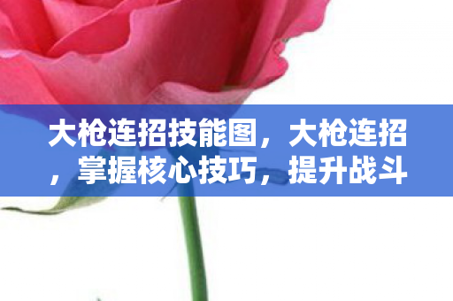 大枪连招技能图,大枪连招,掌握核心技巧,提升战斗效率 大枪连招技能图,大枪连招,掌握核心技巧,提升战斗效率