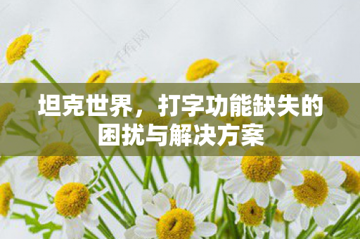 坦克世界，打字功能缺失的困扰与解决方案