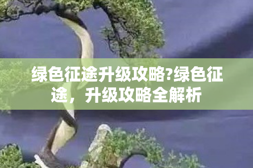 绿色征途升级攻略?绿色征途，升级攻略全解析