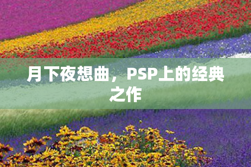 月下夜想曲，PSP上的经典之作