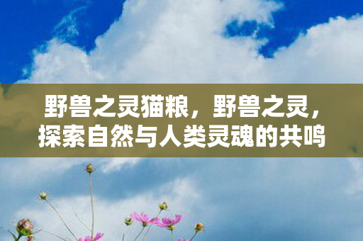 野兽之灵猫粮，野兽之灵，探索自然与人类灵魂的共鸣