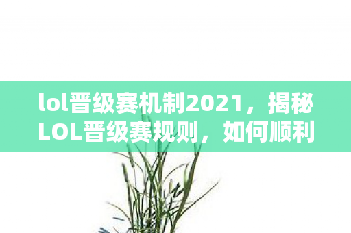 lol晋级赛机制2021，揭秘LOL晋级赛规则，如何顺利晋升段位？