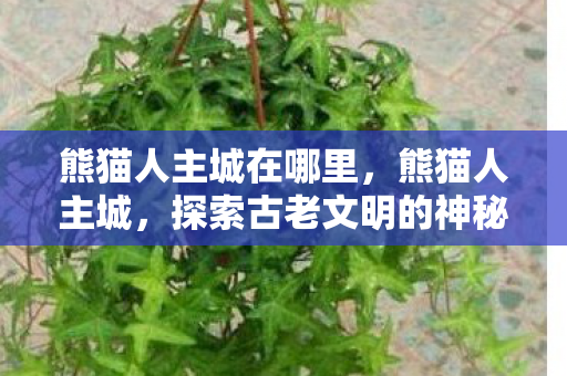 熊猫人主城在哪里，熊猫人主城，探索古老文明的神秘魅力