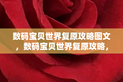 数码宝贝世界复原攻略图文，数码宝贝世界复原攻略，重温经典，找回你的童年回忆