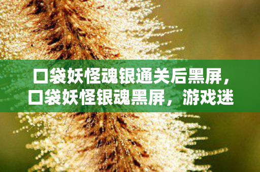 口袋妖怪魂银通关后黑屏，口袋妖怪银魂黑屏，游戏迷的困扰与解决之道