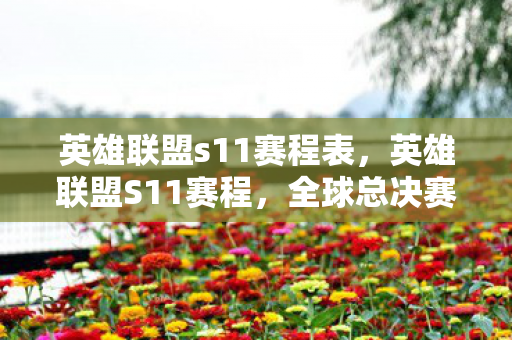 英雄联盟s11赛程表，英雄联盟S11赛程，全球总决赛的激情与期待