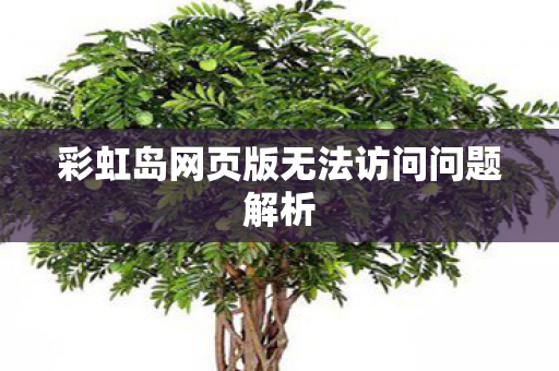彩虹岛网页版无法访问问题解析