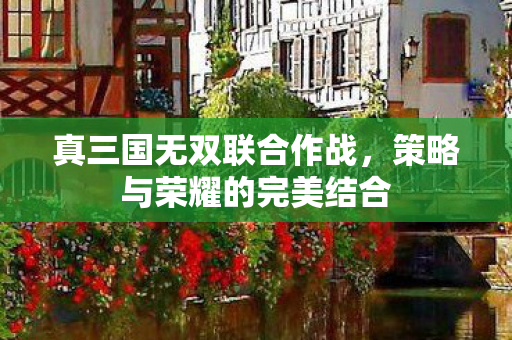 真三国无双联合作战，策略与荣耀的完美结合