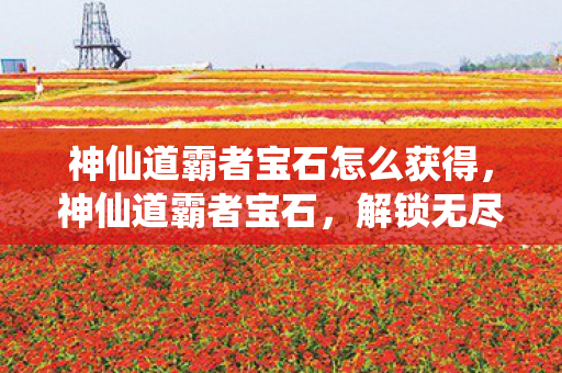 神仙道霸者宝石怎么获得，神仙道霸者宝石，解锁无尽力量的神秘宝石