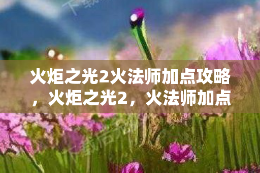 火炬之光2火法师加点攻略，火炬之光2，火法师加点攻略