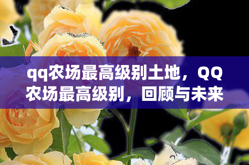 qq农场最高级别土地，QQ农场最高级别，回顾与未来展望