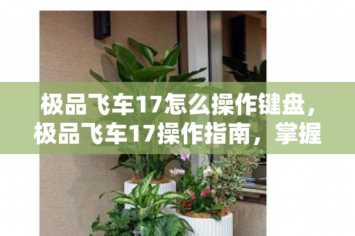 极品飞车17怎么操作键盘，极品飞车17操作指南，掌握这些技巧，让你成为赛道王者