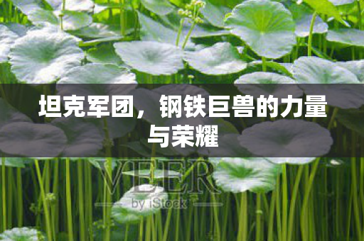 坦克军团,钢铁巨兽的力量与荣耀 坦克军团,钢铁巨兽的力量与荣耀