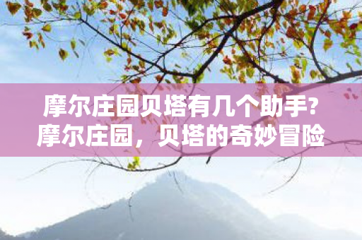 摩尔庄园贝塔有几个助手?摩尔庄园，贝塔的奇妙冒险