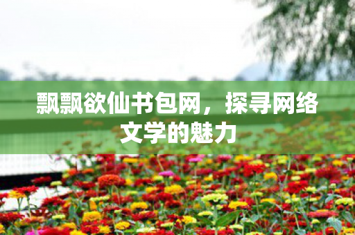 飘飘欲仙书包网，探寻网络文学的魅力
