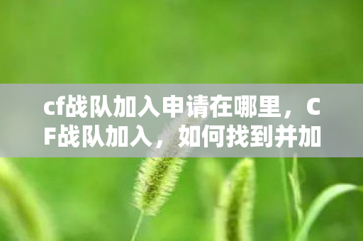 cf战队加入申请在哪里，CF战队加入，如何找到并加入适合自己的CF战队