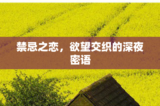 禁忌之恋，欲望交织的深夜密语